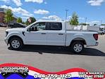 2024 Ford F-150 SuperCrew Cab RWD, Pickup for sale #T480353 - photo 6