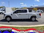 2024 Ford F-150 SuperCrew Cab RWD, Pickup for sale #T480357 - photo 6