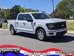 2024 Ford F-150 SuperCrew Cab RWD, Pickup for sale #T480358 - photo 1