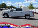 2024 Ford F-150 SuperCrew Cab RWD, Pickup for sale #T480359 - photo 6