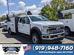 New 2024 Ford F-550 Crew Cab 4WD, Palfinger PAL Pro 43 Mechanics Body for sale #T480401 - photo 1