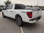 New 2024 Ford F-150 STX SuperCrew Cab 4WD, Pickup for sale #T480445 - photo 6