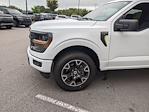 New 2024 Ford F-150 STX SuperCrew Cab 4WD, Pickup for sale #T480445 - photo 11