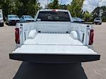 2024 Ford F-150 SuperCrew Cab 4WD, Pickup for sale #T480628 - photo 29