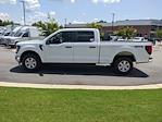 New 2024 Ford F-150 XL SuperCrew Cab 4WD, Pickup for sale #T480629 - photo 7