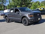 2024 Ford F-150 SuperCrew Cab 4WD, Pickup for sale #T480640 - photo 1