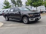 2024 Ford F-150 SuperCrew Cab RWD, Pickup for sale #T480731 - photo 1