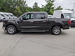 2024 Ford F-150 SuperCrew Cab RWD, Pickup for sale #T480731 - photo 7