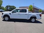 New 2024 Ford F-150 XL SuperCrew Cab 4WD, Pickup for sale #T480770 - photo 7