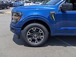 2024 Ford F-150 SuperCrew Cab RWD, Pickup for sale #T480772 - photo 11