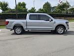 2024 Ford F-150 SuperCrew Cab RWD, Pickup for sale #T480773 - photo 4