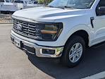 2024 Ford F-150 Regular Cab RWD, Pickup for sale #T480972 - photo 10