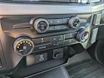 2024 Ford F-150 Regular Cab RWD, Pickup for sale #T480988 - photo 24