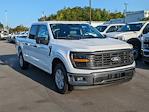 New 2024 Ford F-150 XL SuperCrew Cab RWD, Pickup for sale #T480989 - photo 3