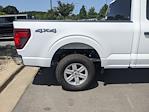 2024 Ford F-150 SuperCrew Cab 4WD, Pickup for sale #T480992 - photo 33