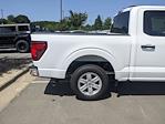 2024 Ford F-150 SuperCrew Cab RWD, Pickup for sale #T480997 - photo 34