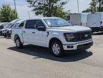 2024 Ford F-150 SuperCrew Cab RWD, Pickup for sale #T480998 - photo 3