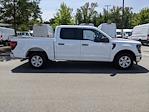 2024 Ford F-150 SuperCrew Cab RWD, Pickup for sale #T480998 - photo 4