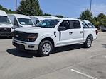 2024 Ford F-150 SuperCrew Cab RWD, Pickup for sale #T480998 - photo 8