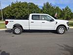 2024 Ford F-150 SuperCrew Cab 4WD, Pickup for sale #T481005 - photo 4