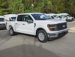 2024 Ford F-150 SuperCrew Cab RWD, Pickup for sale #T481007 - photo 3