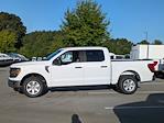 2024 Ford F-150 SuperCrew Cab RWD, Pickup for sale #T481008 - photo 7