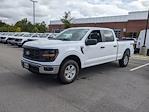 New 2024 Ford F-150 XL SuperCrew Cab 4WD, Pickup for sale #T481015 - photo 6