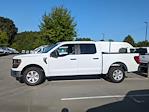 2024 Ford F-150 SuperCrew Cab RWD, Pickup for sale #T481016 - photo 7