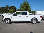 2024 Ford F-150 SuperCrew Cab RWD, Pickup for sale #T481021 - photo 7