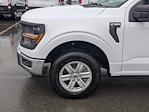 2024 Ford F-150 SuperCrew Cab RWD, Pickup for sale #T481023 - photo 11