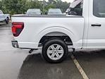 2024 Ford F-150 SuperCrew Cab RWD, Pickup for sale #T481023 - photo 35