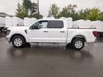 2024 Ford F-150 SuperCrew Cab RWD, Pickup for sale #T481023 - photo 7