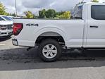 2024 Ford F-150 SuperCrew Cab 4WD, Pickup for sale #T481134 - photo 33