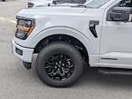 New 2024 Ford F-150 XLT SuperCrew Cab 4WD, Pickup for sale #T481173 - photo 11