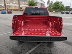 New 2024 Ford F-150 XLT SuperCrew Cab 4WD, Pickup for sale #T481183 - photo 14