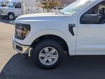 2024 Ford F-150 SuperCrew Cab RWD, Pickup for sale #T481267 - photo 11