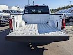 2024 Ford F-150 SuperCrew Cab RWD, Pickup for sale #T481267 - photo 33