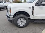 2024 Ford F-350 Crew Cab SRW 4WD, Royal Truck Body Service Body Service Truck for sale #T481298 - photo 11