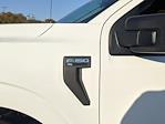 New 2024 Ford F-150 XL SuperCrew Cab RWD, Pickup for sale #T481308 - photo 12