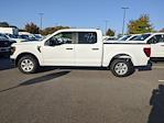 New 2024 Ford F-150 XL SuperCrew Cab RWD, Pickup for sale #T481308 - photo 7