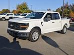 New 2024 Ford F-150 XL SuperCrew Cab RWD, Pickup for sale #T481308 - photo 8