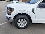 2024 Ford F-150 SuperCrew Cab RWD, Pickup for sale #T481309 - photo 11