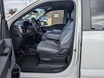 2024 Ford F-150 SuperCrew Cab RWD, Pickup for sale #T481309 - photo 13