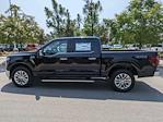 2024 Ford F-150 SuperCrew Cab 4WD, Pickup for sale #T481311 - photo 7