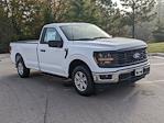 New 2024 Ford F-150 XL Regular Cab RWD, Pickup for sale #T481345 - photo 3