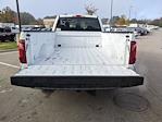 New 2024 Ford F-150 XL Regular Cab RWD, Pickup for sale #T481345 - photo 30