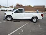 New 2024 Ford F-150 XL Regular Cab RWD, Pickup for sale #T481345 - photo 7