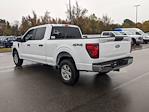 New 2024 Ford F-150 XL SuperCrew Cab 4WD, Pickup for sale #T481384 - photo 6