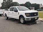 New 2024 Ford F-150 XL SuperCrew Cab 4WD, Pickup for sale #T481390 - photo 3