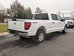 New 2024 Ford F-150 XL SuperCrew Cab 4WD, Pickup for sale #T481390 - photo 2